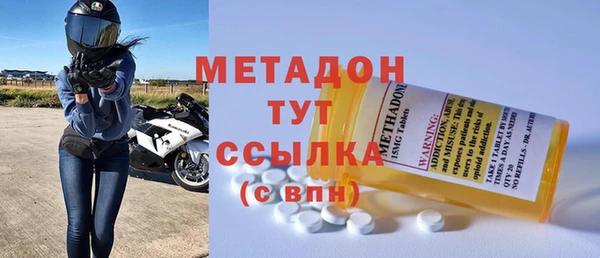 сатива Новодвинск