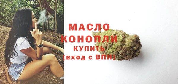 сатива Новодвинск