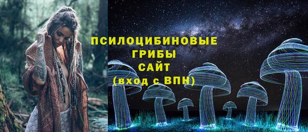 сатива Новодвинск