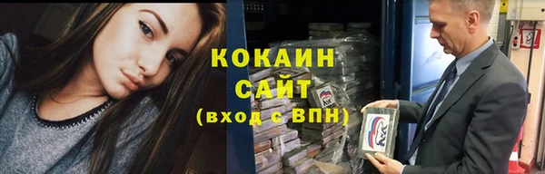 гидра Новокубанск