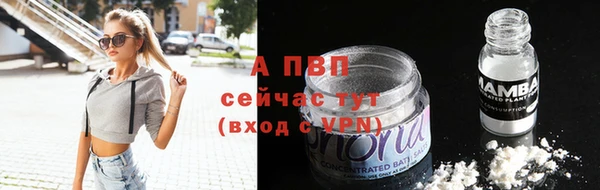 сатива Новодвинск