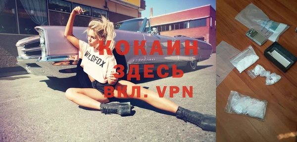 амф Новозыбков