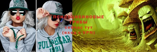 сатива Новодвинск