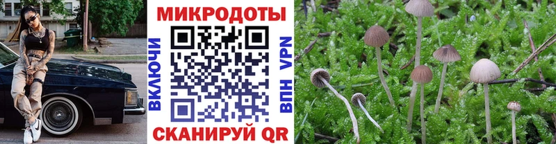 купить наркотики сайты  Екатеринбург  Псилоцибиновые грибы мицелий 