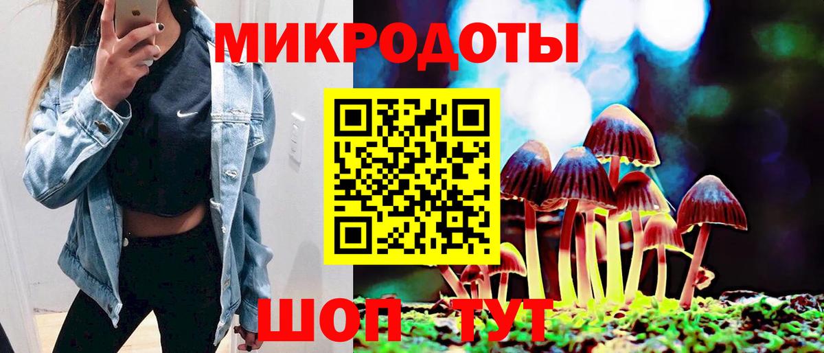Псилоцибиновые грибы Cubensis Екатеринбург